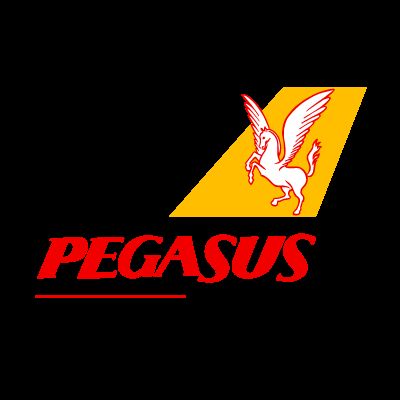 PEGASUS MTER HZMETLER NUMARASI N ARAYIN